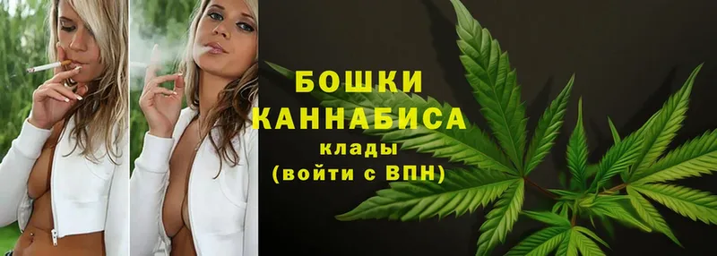 Конопля Ganja  Рошаль 